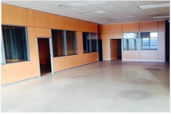 NAVE INDUSTRIAL EN CORNELLÀ DE LLOBREGAT DE 1.129 m², BARCELONA - BAIX LLOB. foto 4